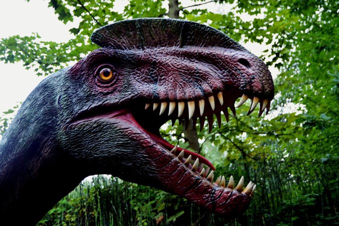 park dinozaurów